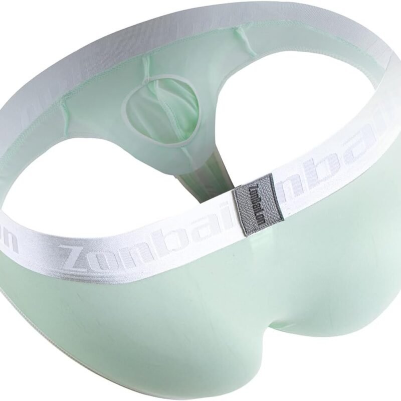 ZONBAILON Men's Briefs Dual Pouch Ice Silk Underwear See Through Thin Breathable Sexy Panties