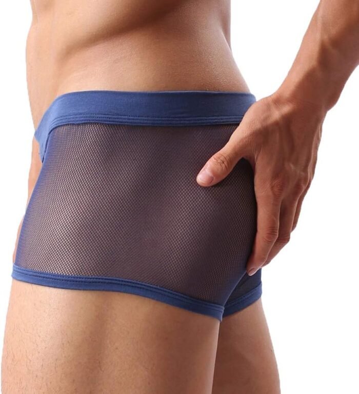 Mens Sexy Underwear Breathable Mesh Boxer Briefs See Through Hollow Lingerie