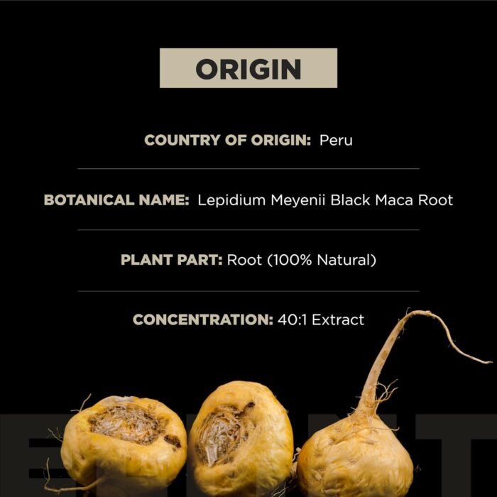 ELMNT 40,000mg 40x Strength Organic Black Maca Root + Ashwagandha - #1 Highest Potency Black Maca Root Capsules for Men Supplement 100% Pure Maca Peruana 40:1 Extract Maca Powder Pills Male Booster - Image 5
