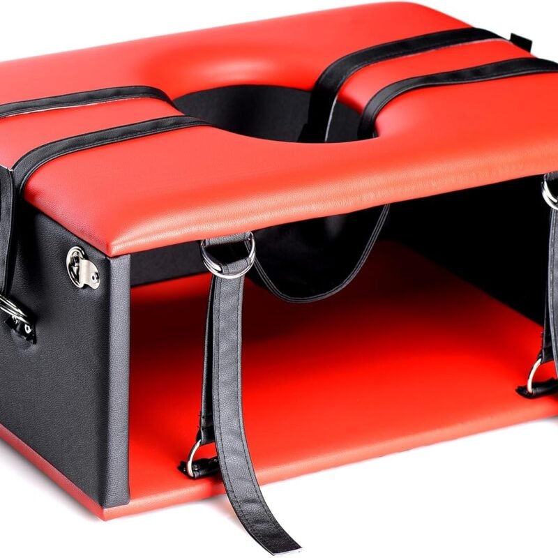 Master Series Queening Chair Sex Toy, 1 Count, Faux Leather