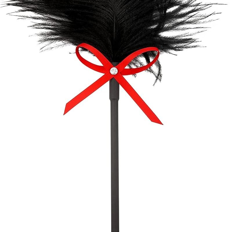 Sex Feather Tickler Adult Spanking Feather BDSM Tickler Spanking Tickler Fetish Sex Toy Bedroom Adult Sex Play