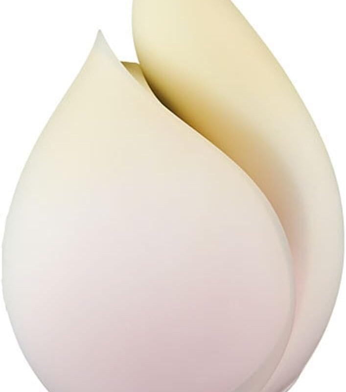 Vibrator Dildo Suction Vibrator Vibrater Sucking Vibrato Vibration Plate G Spot Vibrator Women Sex Machine Vibrators Female Sex Toys Nipples Clitoral Stimulator Heating Waterproof