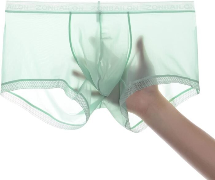 YINYOUYU Mens Sexy Ice Silk Underwear See Through Boxers Sheer Trunks Ultra Thin Bulge Pouch Boxer Briefs