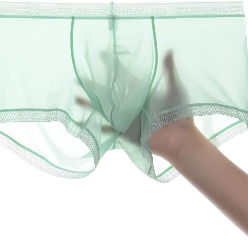 YINYOUYU Mens Sexy Ice Silk Underwear See Through Boxers Sheer Trunks Ultra Thin Bulge Pouch Boxer Briefs