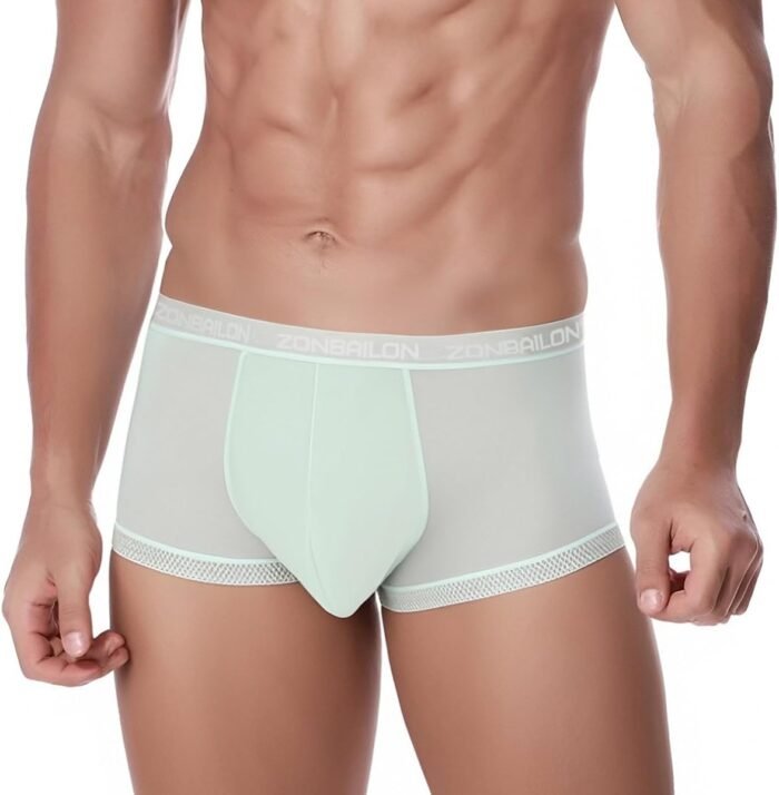YINYOUYU Mens Sexy Ice Silk Underwear See Through Boxers Sheer Trunks Ultra Thin Bulge Pouch Boxer Briefs - Image 3