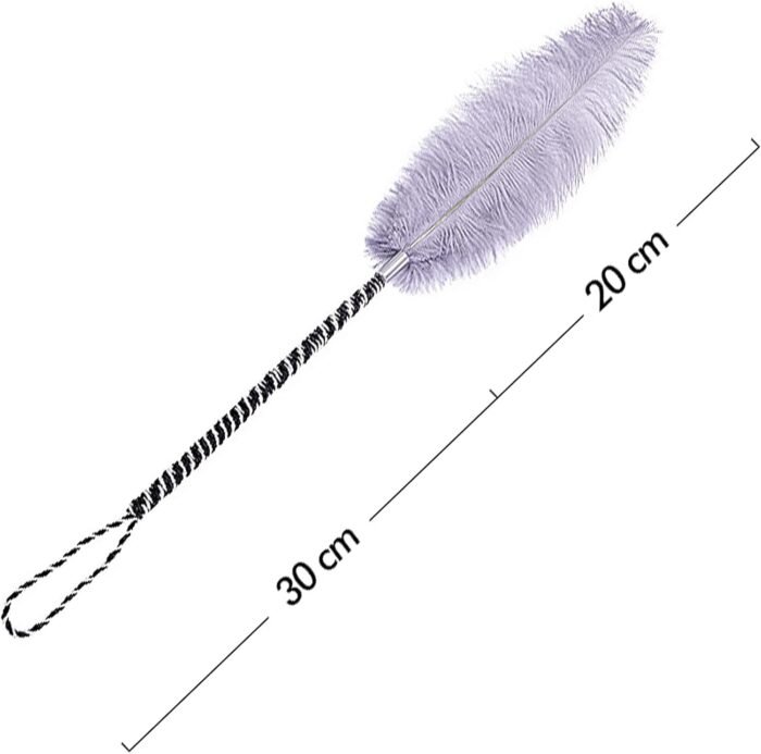 SM Feather Ticklers Teasers Couples Tickle Props Feathers Flirting Tickler Adult Toy Sex Feather Toy for Teasing Sex Toy - Image 4