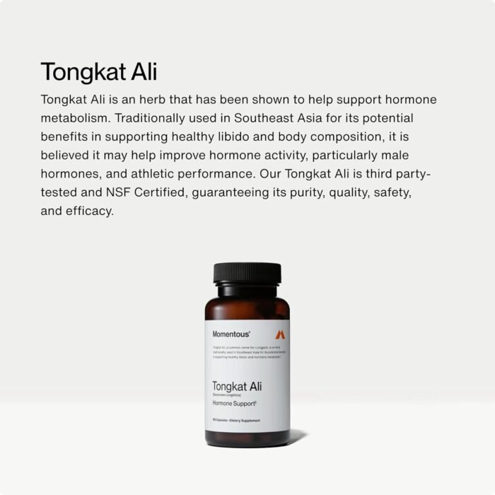 Momentous Tongkat Ali for Men and Women - Natural Performance Longjack Tongkat Ali Supplement for Health & Wellness - Hormone, Energy & Mood Support - Root Extract Powder, 30 Servings - Image 3