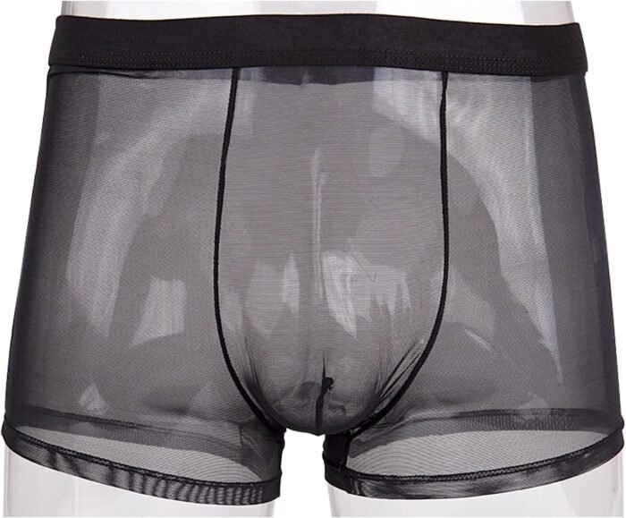 Evankin Men's Underwear Sexy Mesh Breathable Boxer Briefs Low Rise Cool Valentines Boxers Pack Set - Image 2