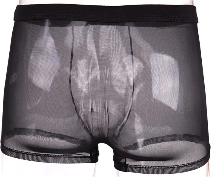 Evankin Men's Underwear Sexy Mesh Breathable Boxer Briefs Low Rise Cool Valentines Boxers Pack Set - Image 4