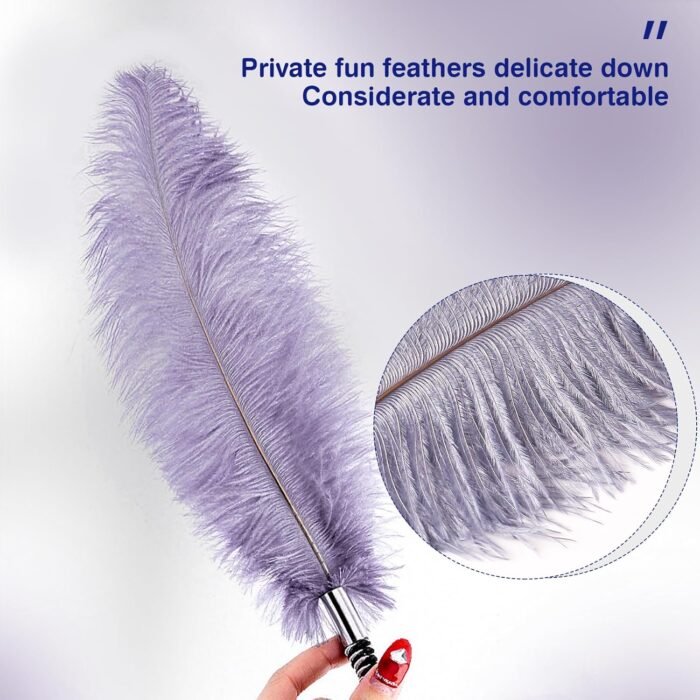 SM Feather Ticklers Teasers Couples Tickle Props Feathers Flirting Tickler Adult Toy Sex Feather Toy for Teasing Sex Toy - Image 6