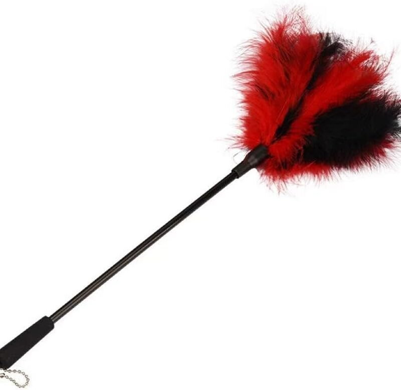 Feather Tickler Teasing Toys for Couples, Role Play & Tickling Fun Feather Stick, Sensual Massage & Playful Foreplay Tool (Red & Black)