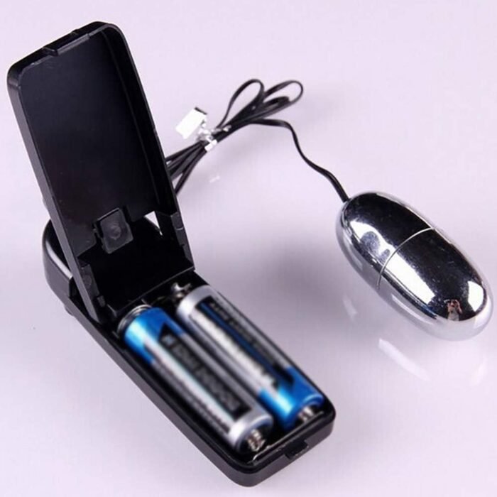 Wansan Vibrating Egg Waterproof Stainless Steel Jump Eggs Massager Muscle Exercises for Men Women - Image 8
