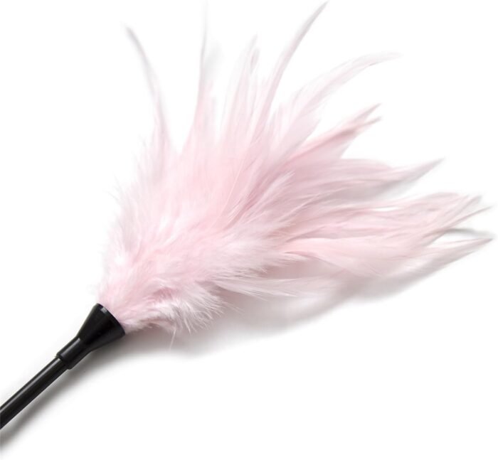 Adult Flriting Toy Sex Feather Tickler Teaser Feather Sex Toy Sex Tickler Spanking Toys Tickler Toy Adult Feathers for Sexual Play Feather Teaser - Image 3