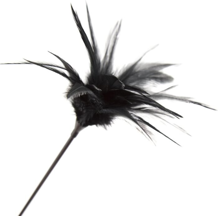 Adult Flriting Toy Sex Feather Tickler Teaser Feather Sex Toy Sex Tickler Spanking Toys Tickler Toy Adult Feathers for Sexual Play Feather Teaser - Image 4