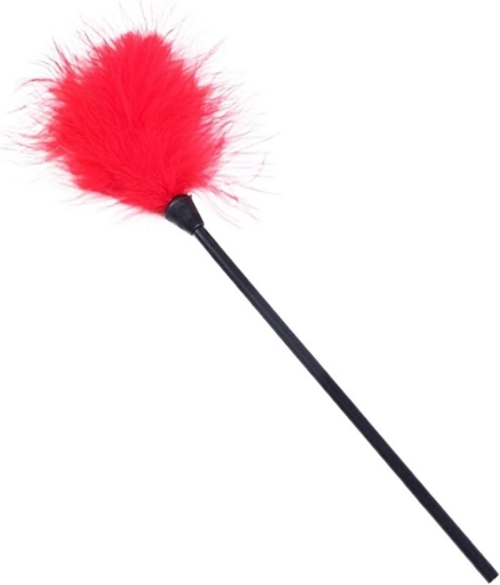 SM PU Leather Spanking Paddle Slap Clap Flap Whip On Butt with Flirt Tickle Feather Sex Adult Game Toy for Women Man Couple Red One Size