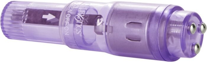 CalExotics Shane’s World Pocket Party - Waterproof Bullet Vibrator - Adult Toys for Couples - Pocket Vibrator with Rabbit Tip - Purple - Image 5