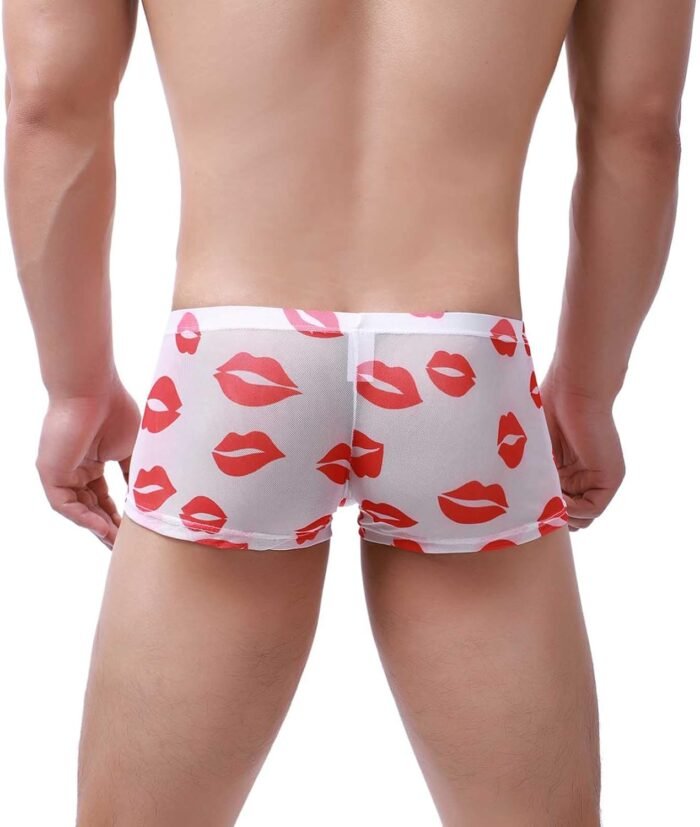 Mens Sexy Lingerie See Through Mesh Mens Lipstick Kisses All Over Boxer Briefs Valentines Day Underwear - Image 3
