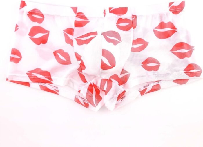 Mens Sexy Lingerie See Through Mesh Mens Lipstick Kisses All Over Boxer Briefs Valentines Day Underwear - Image 4