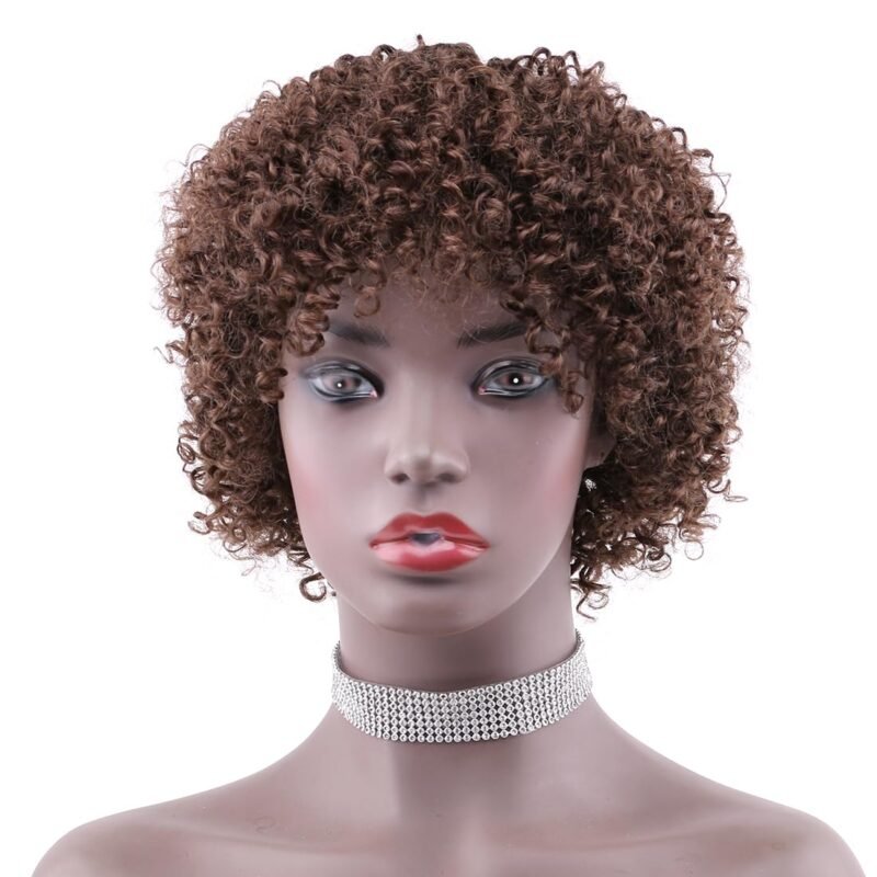 Brown Color Afro Kinky Curly Short Curly Human Hair Wigs with Bangs Glueless Brazilian Virgin Hair Wigs for Black Women(4#)