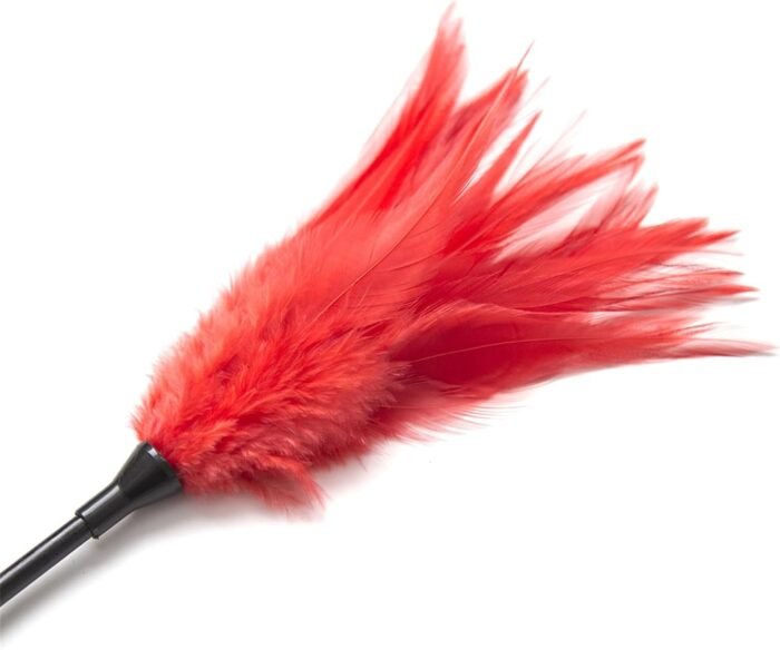 Adult Flriting Toy Sex Feather Tickler Teaser Feather Sex Toy Sex Tickler Spanking Toys Tickler Toy Adult Feathers for Sexual Play Feather Teaser - Image 2