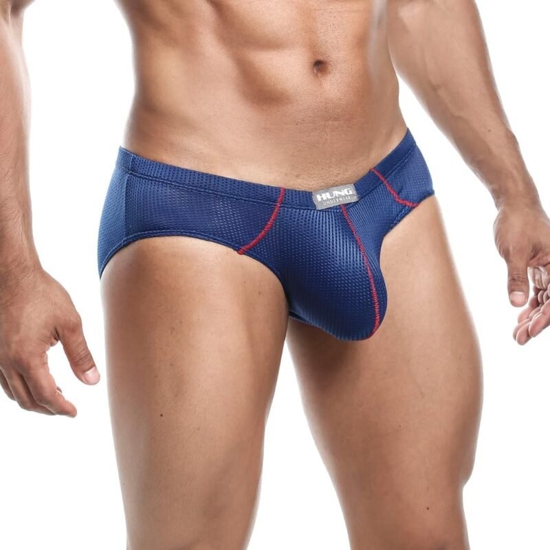 Hung Mens Sheer Underwear,Sexy Low-Rise Briefs for Men,Pouch Enhancing Underpants with Soft Mesh Fabric