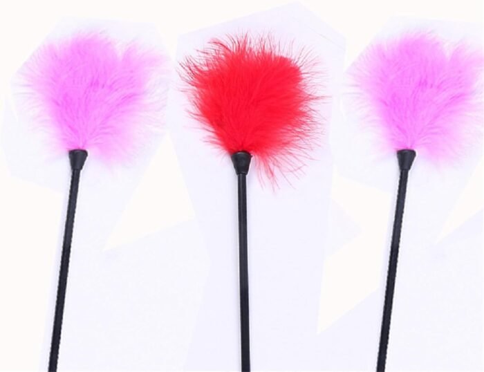 Sex Toy Sex Feather Tickler Teaser Feather Sex Tickler Spanking Toys Tickler Toy Adult Feathers for Sexual Play 4Pcs - Image 3