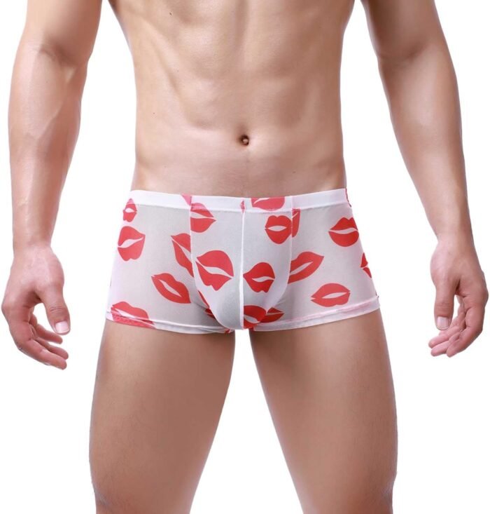 Mens Sexy Lingerie See Through Mesh Mens Lipstick Kisses All Over Boxer Briefs Valentines Day Underwear