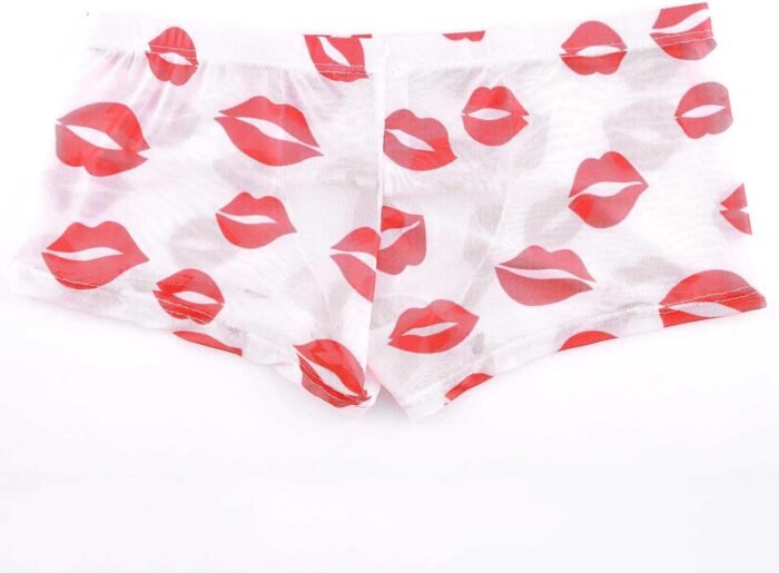 Mens Sexy Lingerie See Through Mesh Mens Lipstick Kisses All Over Boxer Briefs Valentines Day Underwear - Image 5