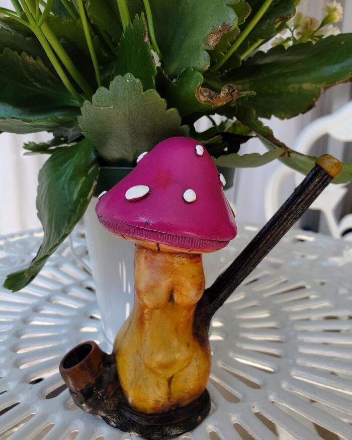 Sexy Body Mushroom Figurine - Handmade Pink Erotic Art Nature Trippy Natural Coconut Bowl Gifts for Smokers - Image 6