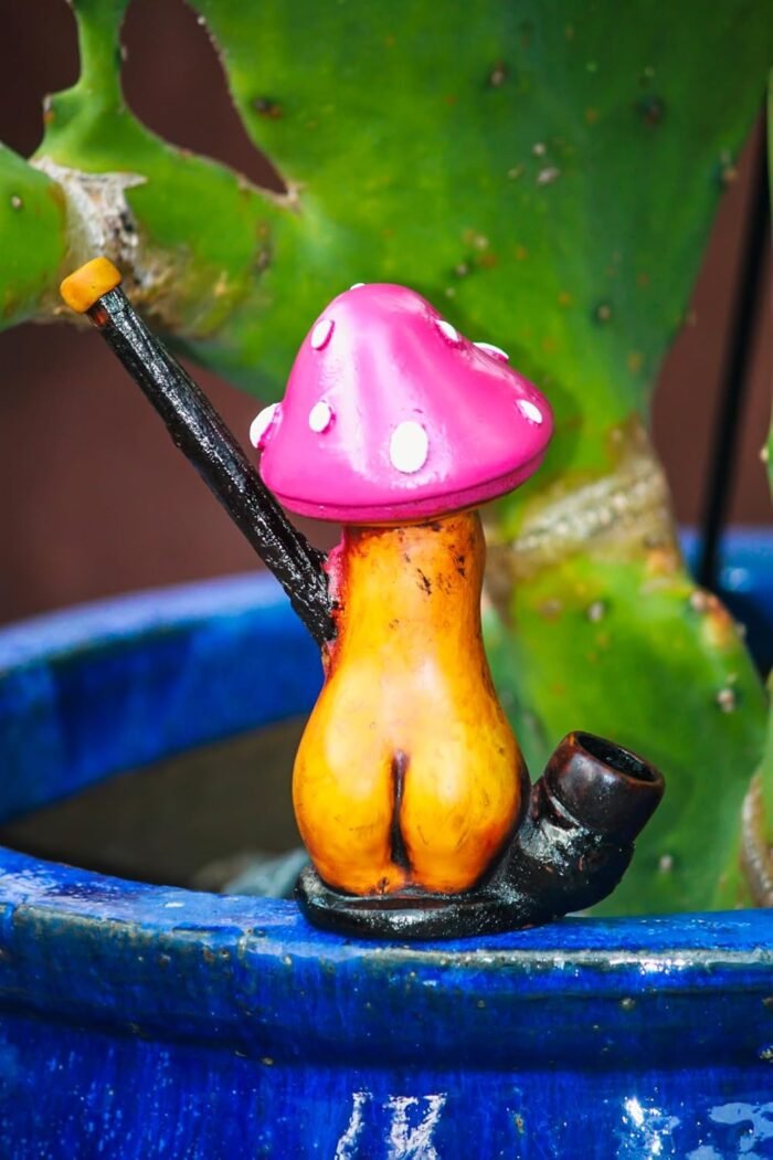 Sexy Body Mushroom Figurine - Handmade Pink Erotic Art Nature Trippy Natural Coconut Bowl Gifts for Smokers - Image 7
