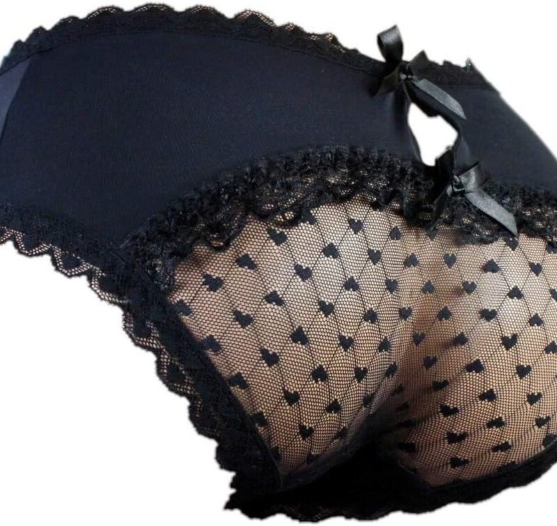 aishani Sissy Pouch Panties Men's Hipster Lace Bikini Briefs Lingerie Underwear