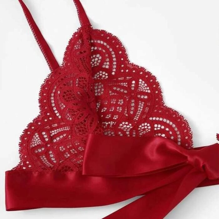 Sexy Lingerie Set for Women Lace Scalloped Bra with Bow Tie Side Trim Underpant Elegant Apparel - Image 4