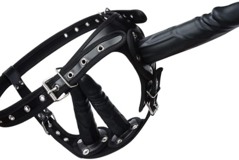 FST Strap-on Dildo with Harness Belt 3 Removable Silicone Dildos, G Spot Stimulate Adjustable Dildo Leather Sex Toy for Women Lesbian Lovers Masturbation