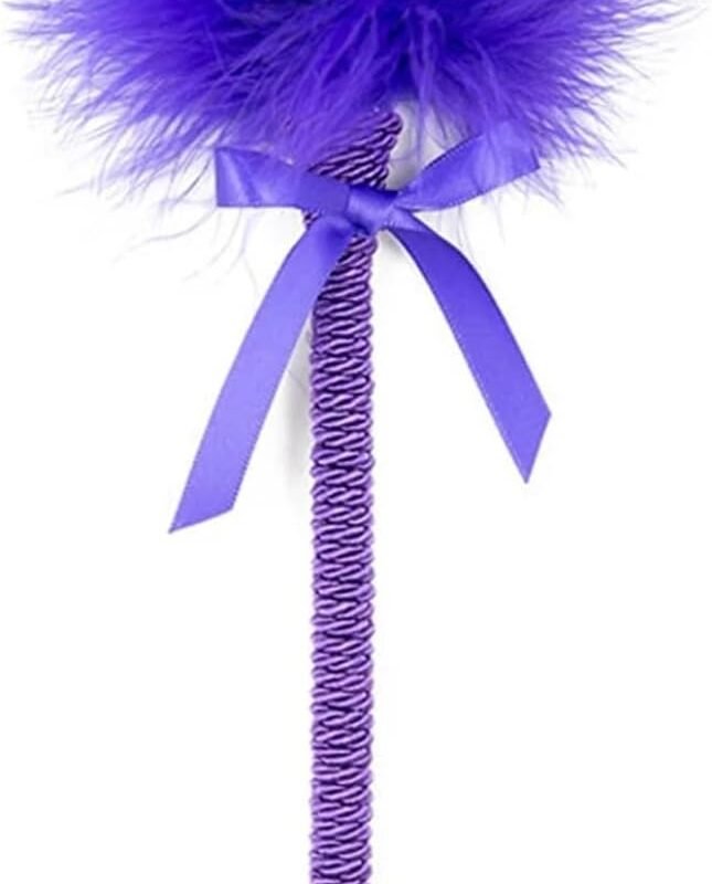 Soft Feather Tickler Spanking Paddle Whip Fetish Flirting BDSM Tease Tool Sex Toys for Couples(04)