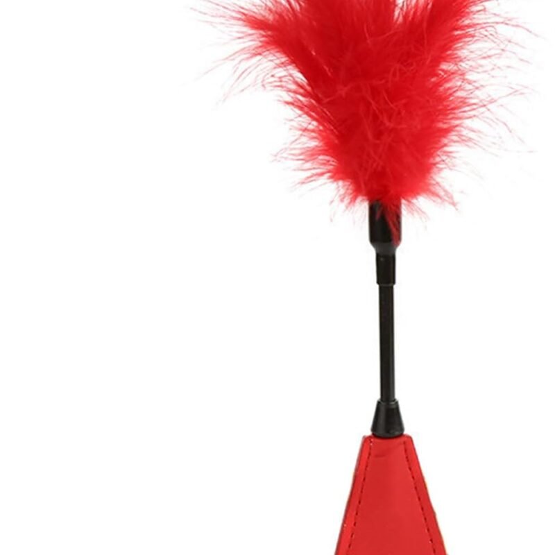 Couple Flirting Red Feather Tickler Leather Pat Training Stick Training Hand Pat Alternative Toy Sexy Adult Supplies