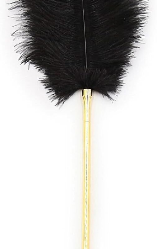 SM Feather Tickler Black Soft Feather Tickler with Detachable Metal Handle Role Play Body Teasing Adult Toy