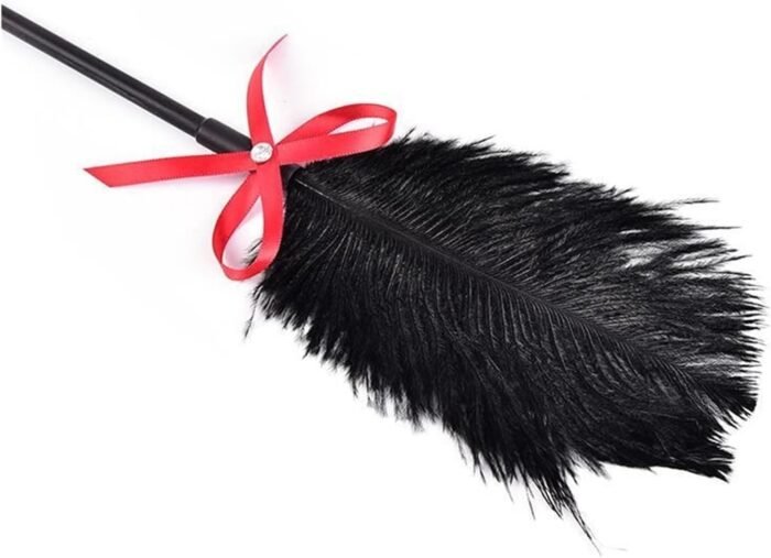 BDSM Feather Tickled Erotic Punish Fetish Leather Spanking Paddle Play Sex Toys for Lover Riding Crop Tools Red One Size - Image 6