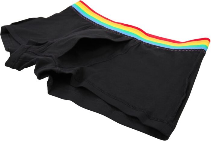 Strapon.harness Boxers Harnesses Briefs Strap On Underwear Panties Strapless Strap On Boxers Briefs for Women - Image 7