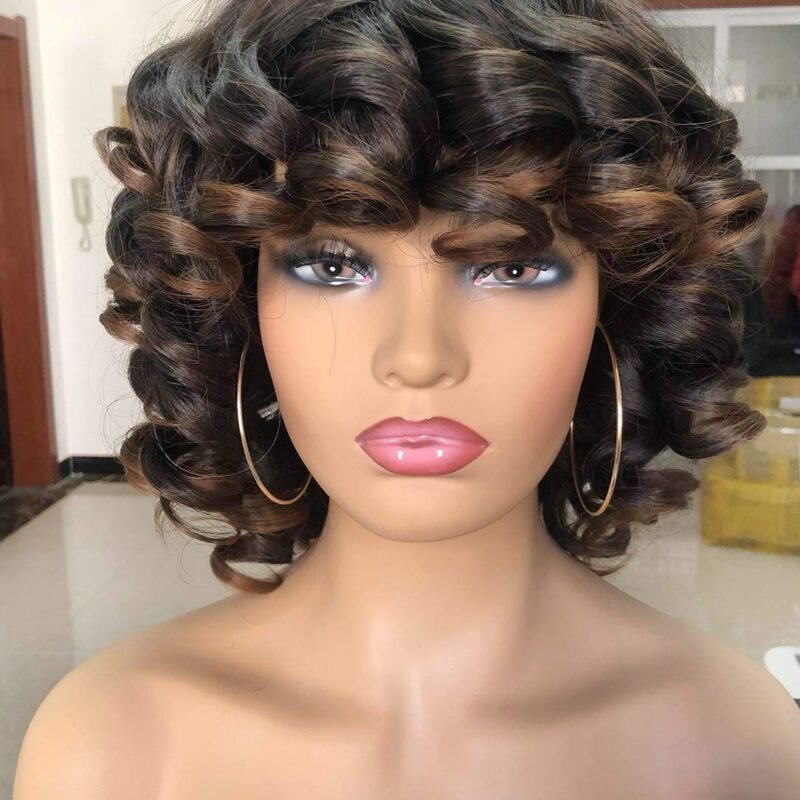 Annivia Short Afro Curly Wigs with Bangs for Women Kinky Curly Hair Wig 2 Tone Ombre Dark Brown Big Bouncy Fluffy Curly Wig