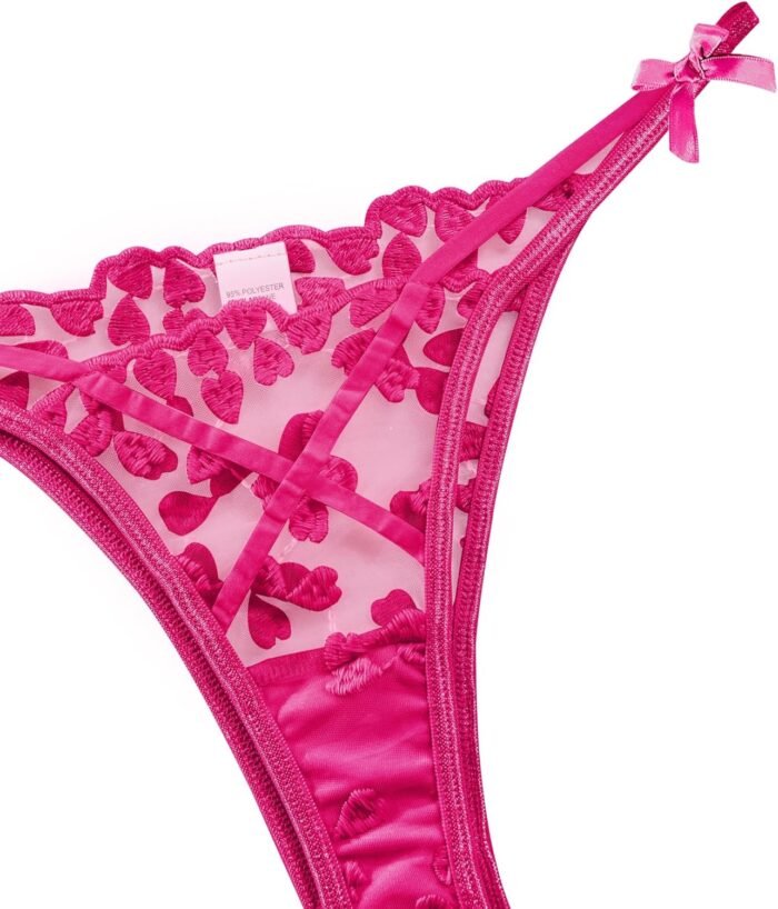 Lilosy Sexy Underwire Cute Push Up Strappy Embroidered Mesh Sheer Lingerie Set See Through Panty Bra - Image 5