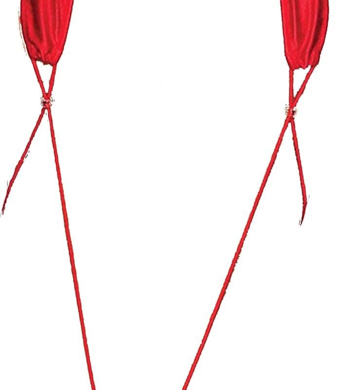 Womens Lingerie Sexy Japanese Girl Bikini Anime Bra and Panty Set Suspender Babydoll